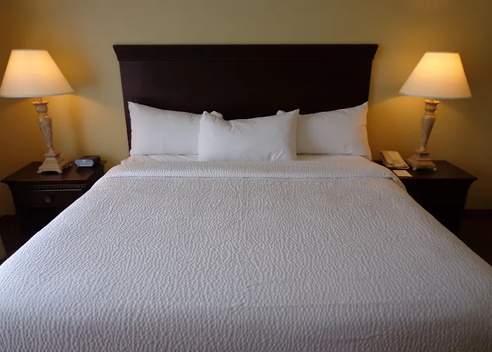 Euro-Suites Hotel